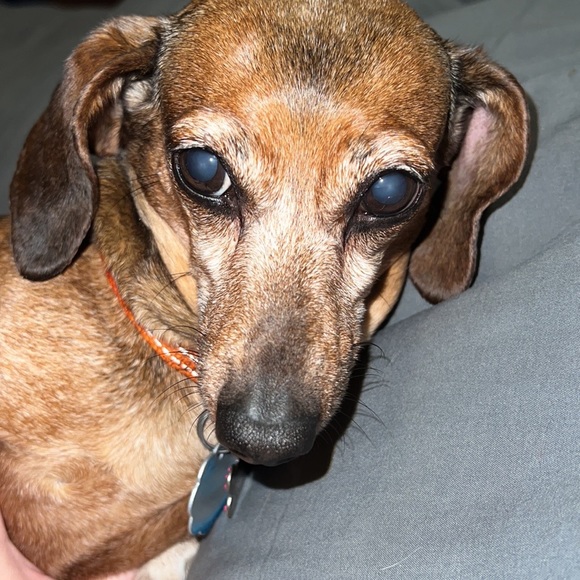 MEET THE BEST POSHER EVER!!!!❤️❤️🔥🚎🚌 - Picture 5 of 5